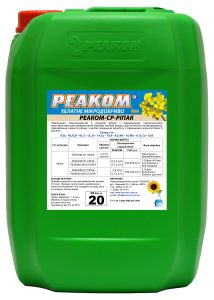 Главная Рапс