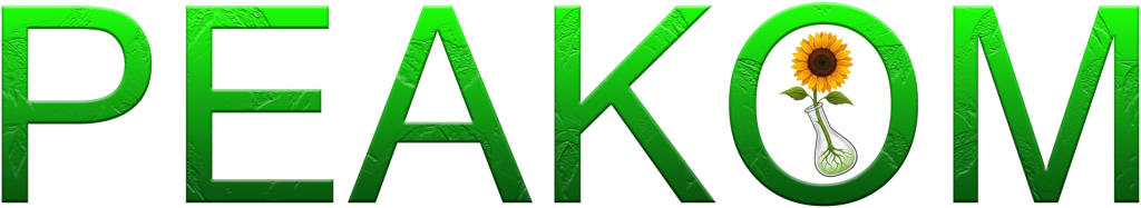 РЕАКОМ 1 scaled