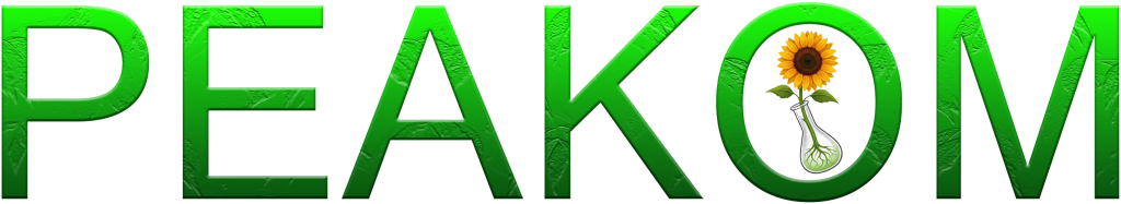 РЕАКОМ